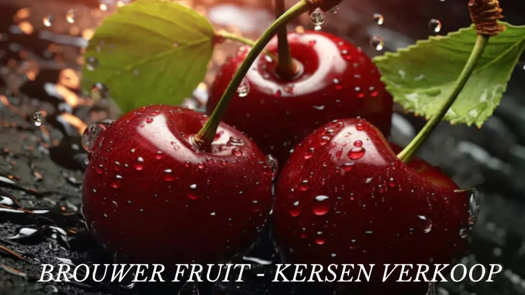 Brouwer Fruit - Kersen Verkoop