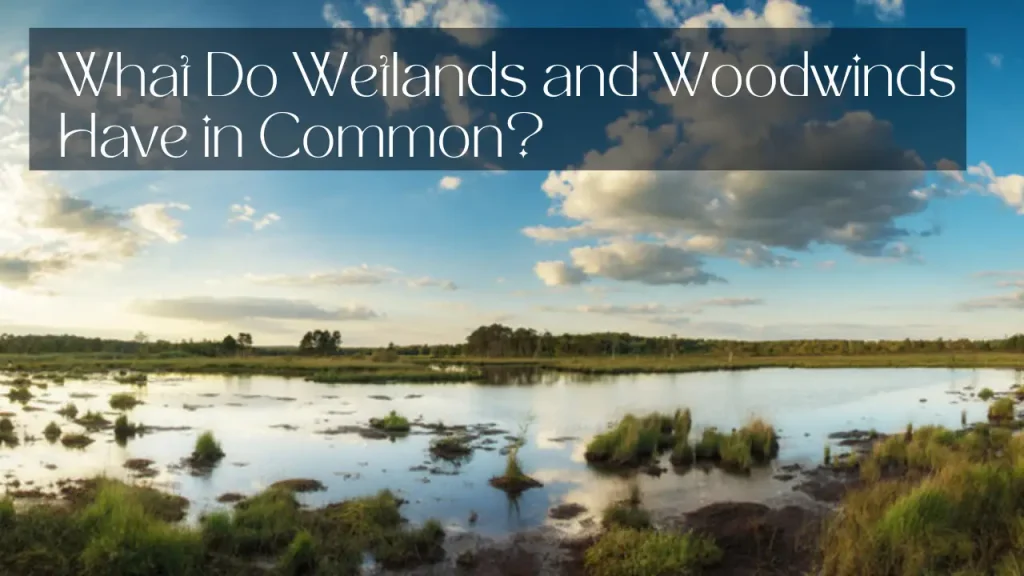 What Do Wetlands and Woodwinds Have in Common?
