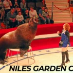 Niles Garden Circus