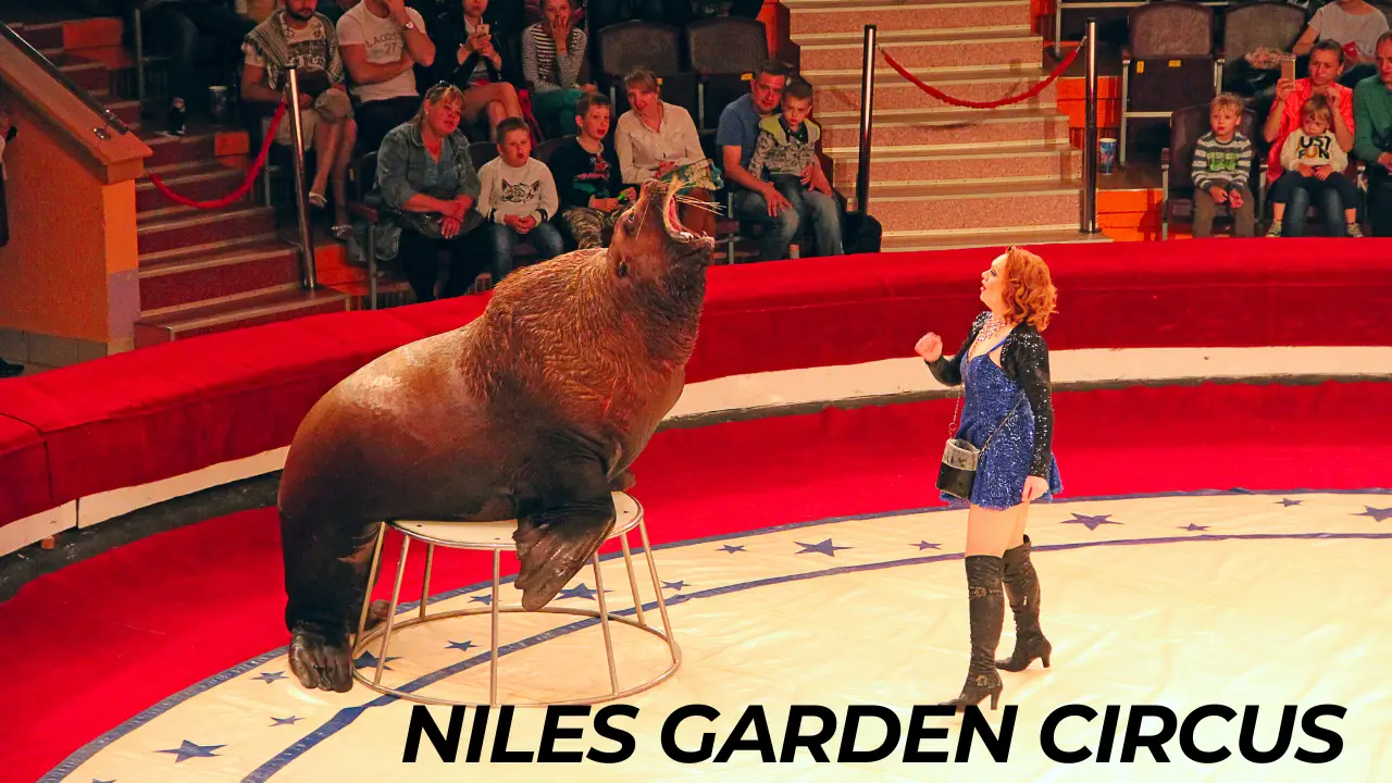 Niles Garden Circus