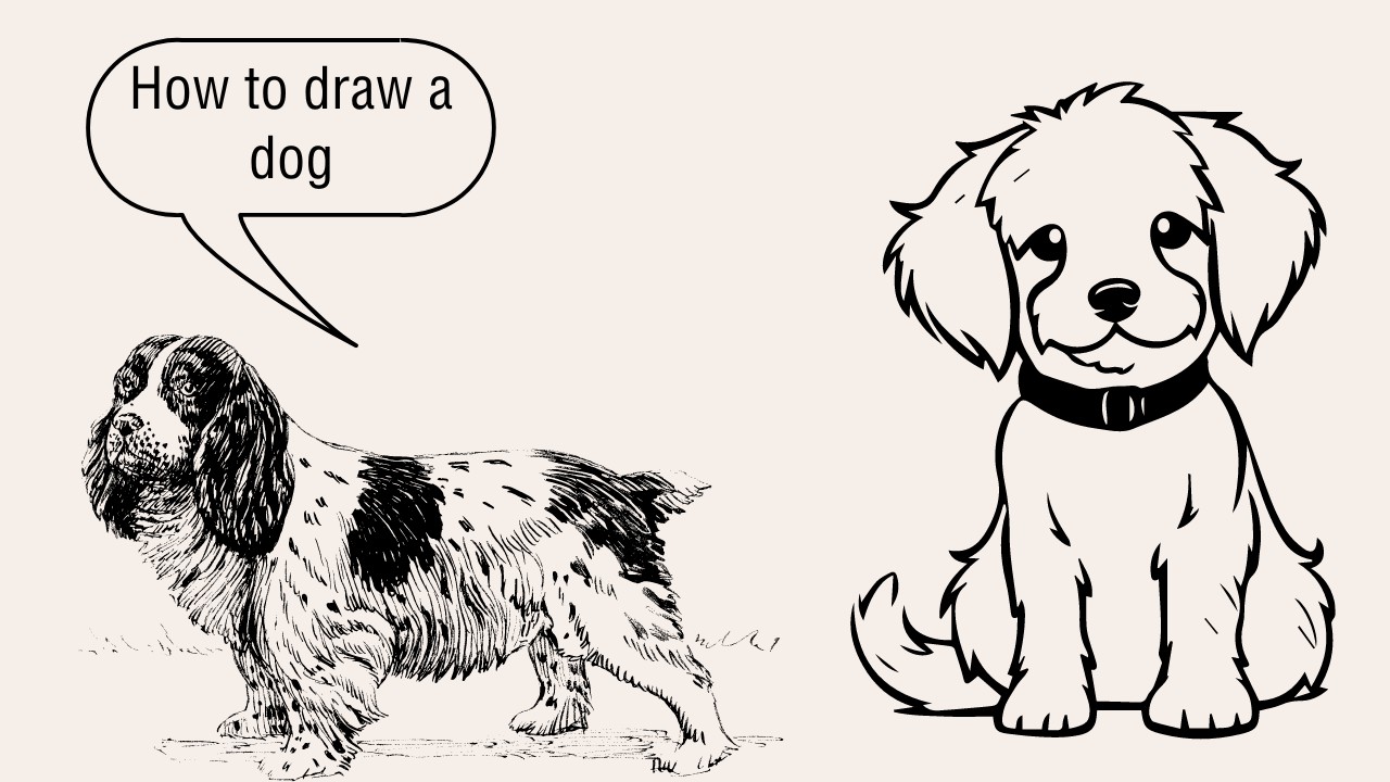 how to draw a dog