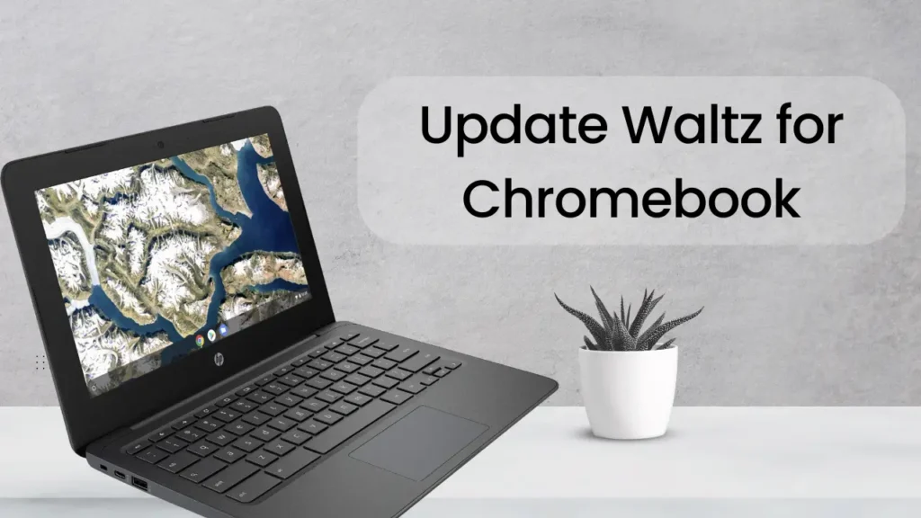 How to Update Waltz for Chromebook 2020