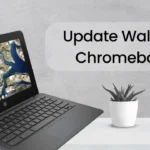 How to Update Waltz for Chromebook 2020