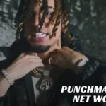 Punchmade dev net worth